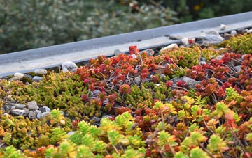 the cost of East Lulworth green roof installation