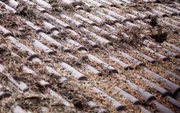 East Lulworth roof cleaning companies